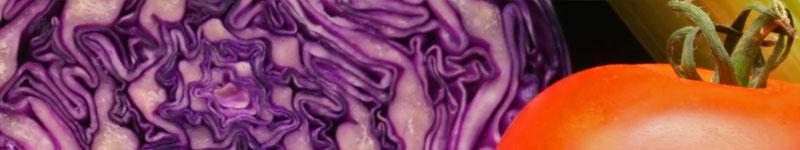 Food Allergies 