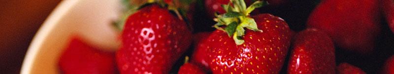 Food Safety and Food Poisoning 