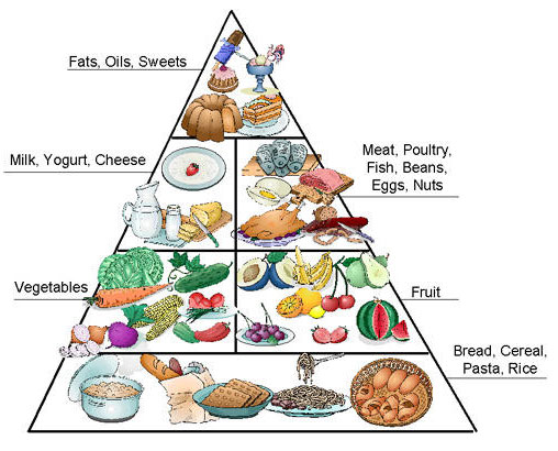 The initial Food Pyramid divided the three groups: carbohydrates ...
